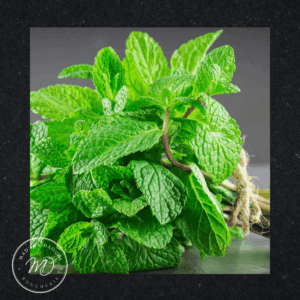 Menthe