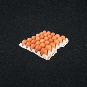 Oeufs x20 GC