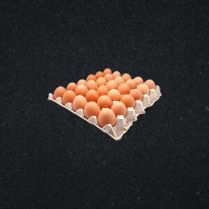 Oeufs x30