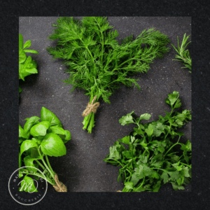 Pack 3 bottes mix. plantes aromatiques